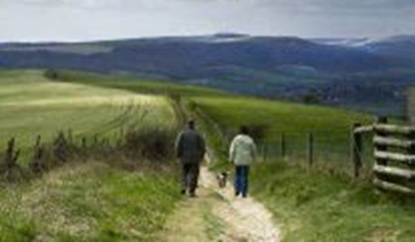 south downs